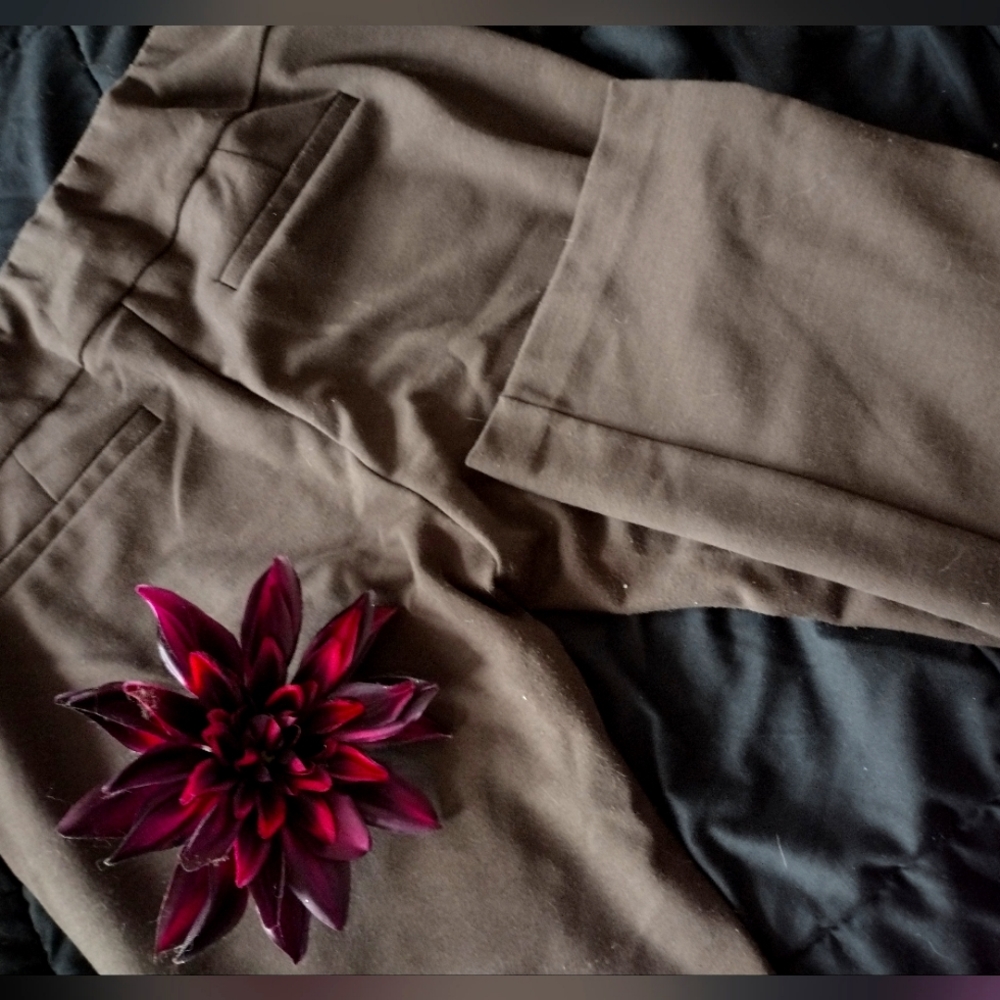 Brown New York & Company Woman's Work Pants